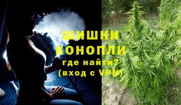сатива Краснотурьинск