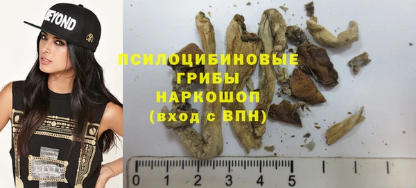PSILOCYBIN Красноперекопск