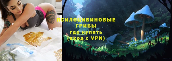 сатива Краснотурьинск