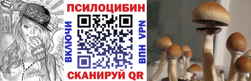 Псилоцибиновые грибы GOLDEN TEACHER  Москва 