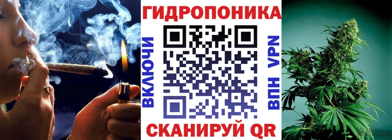 Шишки марихуана семена  сколько стоит  Москва 